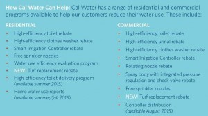 cal-water-can-help