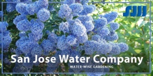 SanJoseWaterCompanyWaterWiseGardening